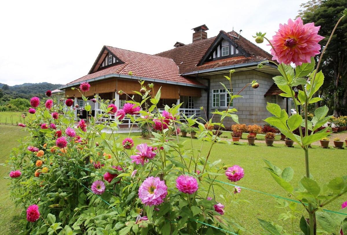 Bukit Lowick Bungalow Tanah Rata Dış mekan fotoğraf