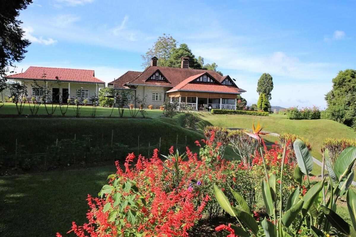 Bukit Lowick Bungalow Tanah Rata Dış mekan fotoğraf